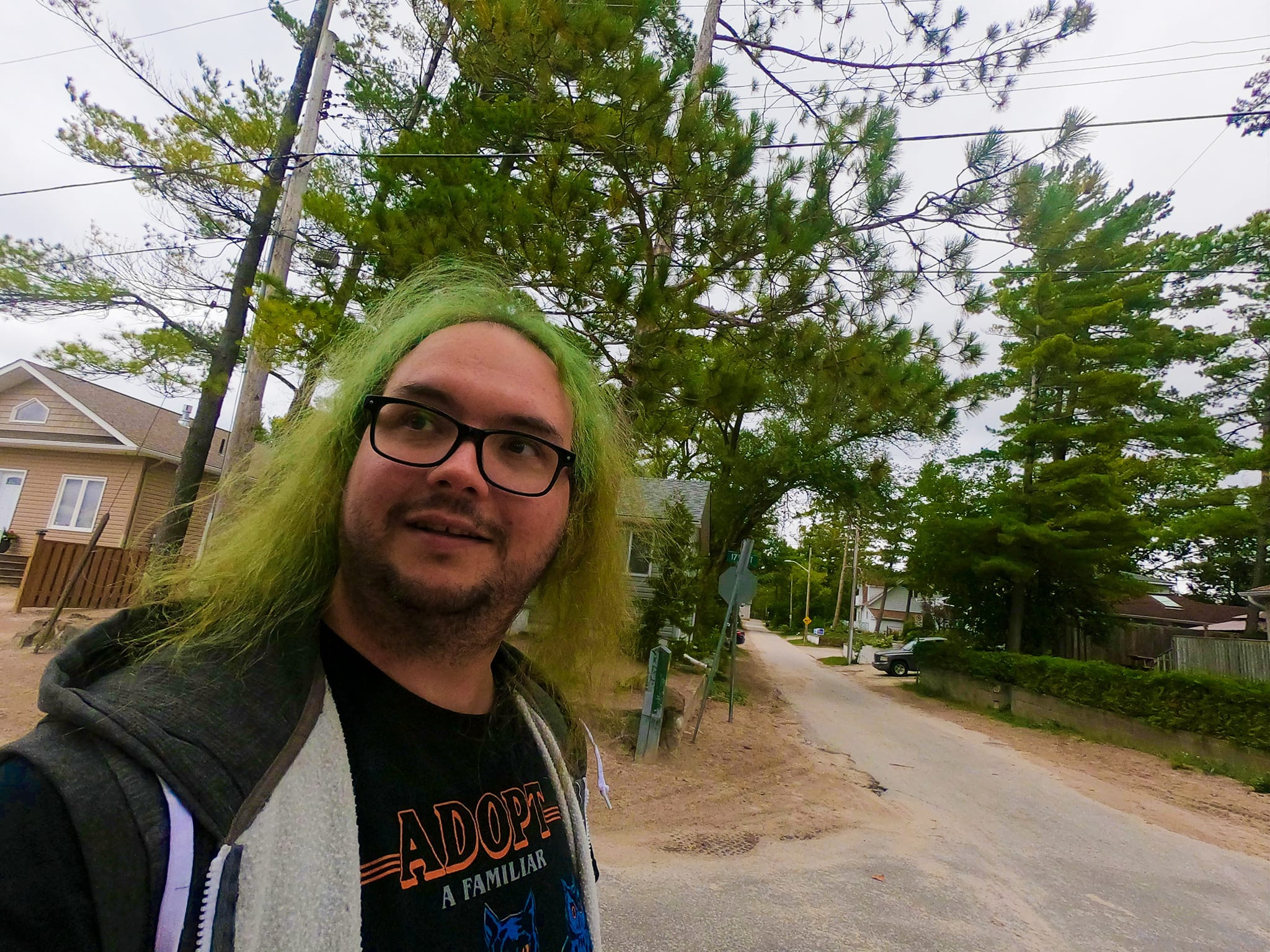 A man with long green hair stands on a quiet cottage street, a few jackpines are in the background, sculpted by the wind